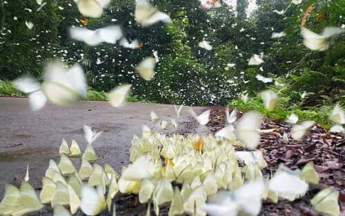 Những địa điểm chụp ảnh cưới đẹp nhất tại Ninh Bình - hình ảnh 8